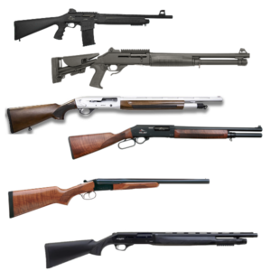 Best Red Dot for Shotgun