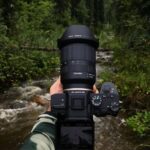 8 Best Camera for Wildlife Photography