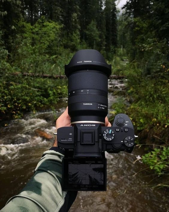 8 Best Camera for Wildlife Photography