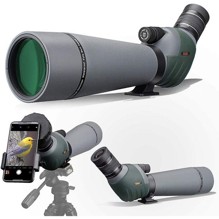 8 Best Budget Spotting Scope