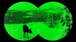 10 Best Night Vision Scope for the Money