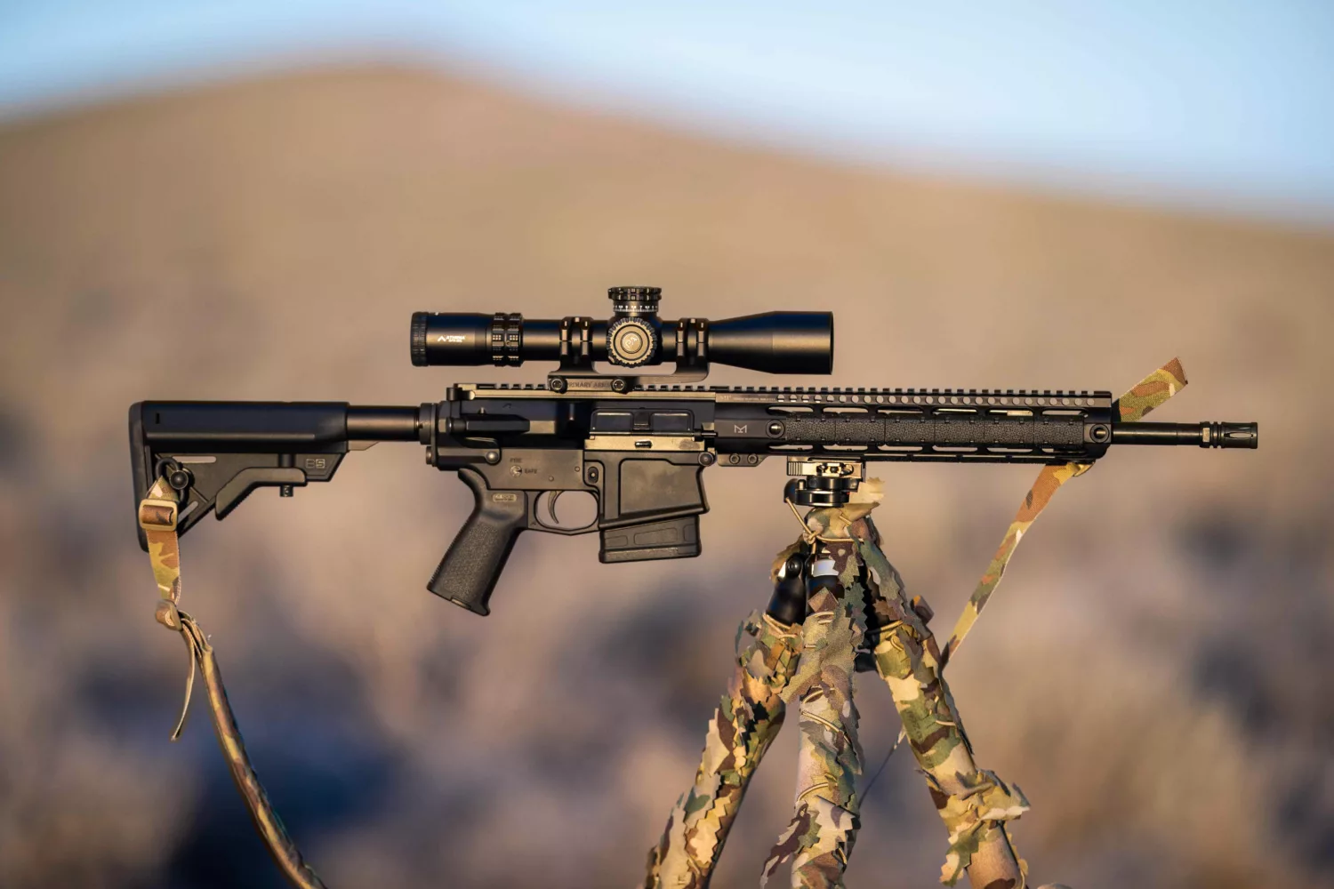 What Is an AR-10 .308