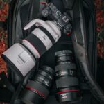 Best Lens for Wildlife Photography