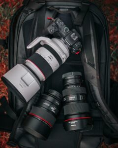 Best Lens for Wildlife Photography