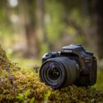 Best Canon Camera for Photography