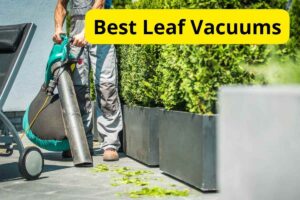 8 Best Leaf Blowers Vacuums