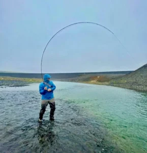 8 Best Fly Fishing Rods