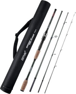 Goture Travel Fishing Rods, 4 Piece Fishing Pole with Case