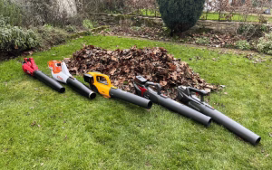 8 Best Leaf Blowers Vacuums