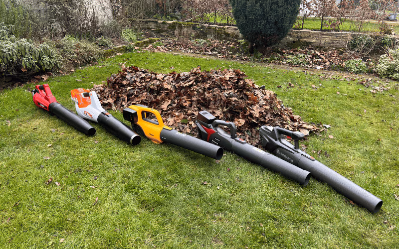 8 Best Leaf Blowers Vacuums