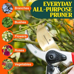 If you are serious about maintaining a healthy, well-shaped garden, the **Haus & Garten ClassicPRO 8.5" Professional Premium Titanium Bypass Pruning Shears** delivers professional-grade performance in a compact, lightweight design. Built for gardeners who demand clean precision and long-term durability, this ClassicPRO model combines sharp Japanese high-carbon steel with a titanium coating for smooth, effortless cutting. Whether you’re trimming roses, shaping shrubs, or cutting back overgrown branches, these shears are designed to make every cut count. Unlike ordinary pruners that dull quickly or cause hand strain, the ClassicPRO focuses on both performance and comfort. Weighing just 9 ounces and measuring 8.5 inches long, it feels balanced and easy to control. Moreover, its ergonomic red handles with non-slip grips provide comfort during extended pruning sessions. As a result, even seniors and users with arthritis can garden longer without wrist fatigue. --- ## Key Specifications * **Brand:** Haus & Garten * **Model:** ClassicPRO * **Length:** 8.5 inches * **Width:** 2.4 inches * **Weight:** 9 ounces * **Blade Material:** Japanese high-carbon steel with titanium coating * **Body Material:** Anodized aluminum * **Cutting Capacity:** Up to 1 inch thick branches --- ## Product Features ### 1. Japanese High-Carbon Steel Blade The blade is engineered for razor-sharp precision. It delivers clean, accurate bypass cuts that protect plant tissue and promote faster healing. Consequently, your plants grow stronger and healthier. ### 2. Titanium-Coated, Rust-Resistant Construction The titanium coating reduces friction while cutting and protects against rust and corrosion. Additionally, the anodized aluminum body enhances durability, making these shears reliable season after season. ### 3. Ergonomic, Shock-Absorbing Handle Designed with comfort in mind, the non-slip grip and shock-absorbing pads minimize hand fatigue. Therefore, you can prune comfortably even during long gardening sessions. ### 4. Adjustable and Versatile Cutting These pruning shears handle branches up to 1 inch thick. Whether trimming indoor plants, flowers, shrubs, or small tree branches, they function as reliable all-purpose garden clippers. ### 5. Built for Long-Term Durability Unlike cheaper pruners that wear out quickly, the ClassicPRO is built to last. Its sturdy construction ensures consistent performance year after year. --- ## Pros * Extremely sharp and precise cutting performance * Lightweight yet heavy-duty construction * Comfortable for small hands and arthritis sufferers * Rust and corrosion resistant * Suitable for professional and home gardeners ## Cons * Premium pricing compared to basic pruning shears Overall, the Haus & Garten ClassicPRO 8.5" Professional Premium Titanium Bypass Pruning Shears offer durability, comfort, and precision in one powerful tool. If you want dependable garden shears that deliver clean cuts and long-lasting performance, this model is a strong investment. 