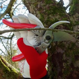 ARS HP-VS8Z Signature Heavy Duty Pruner.