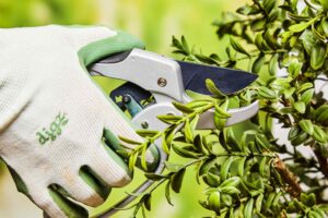 7 Best Garden Pruning Shears