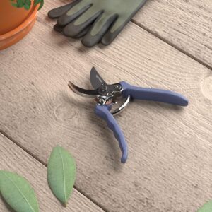 Amazon Basics Professional Bypass Pruning Shears.