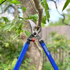 Heavy Duty Loppers for Tree Trimming – 30" Branch Cutter & Pruning Shears.