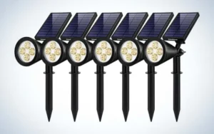8 Best Outdoor Solar Lights (Buyer Guide)