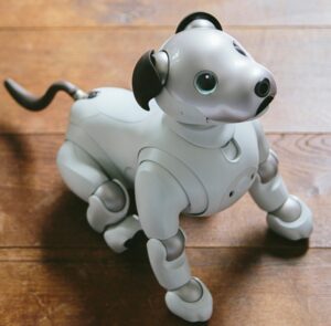 Sony Aibo Robot Dog – Most Advanced Smart Robot Dog for Home