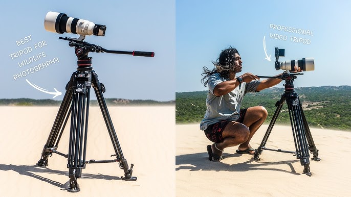 7 Best Camera Tripod for Wildlife Photography