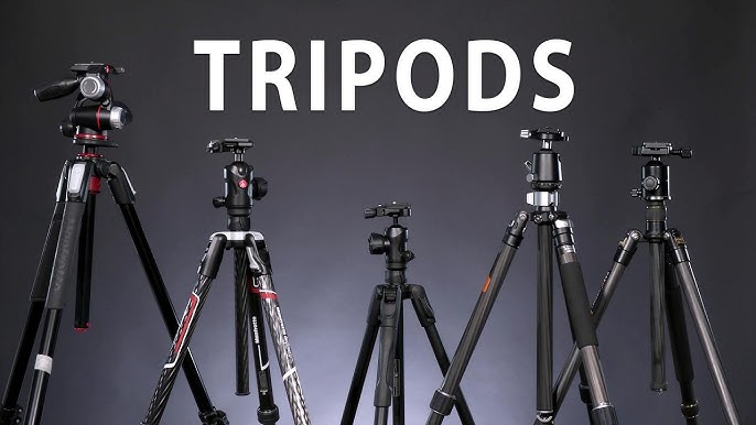7 Best Camera Tripod for Wildlife Photography