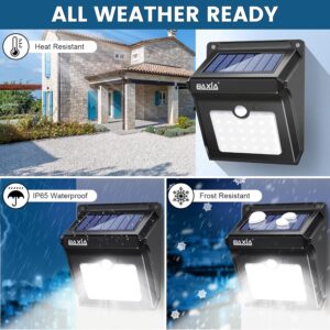 BAXIA Technology Solar Lights (Best Budget Option).