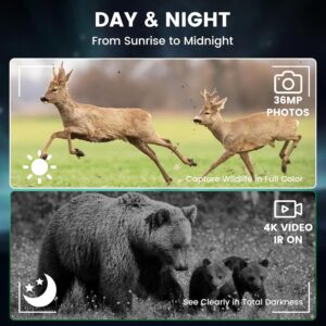 HEXEUM 4K Night Vision Binoculars