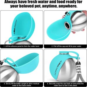 Portable Dog Water Bottle 10oz Stainless Steel Travel Dog Water Dispenser.