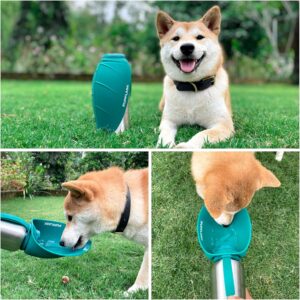 PupFlask Large Dog Water Bottle.
