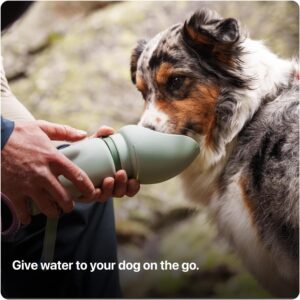 SÄKER Portable Dog Water Bottle