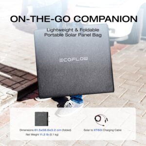EF ECOFLOW 160W Portable Solar Panel