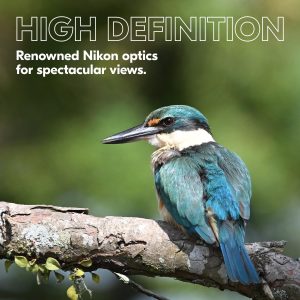 Nikon PROSTAFF P3 10x42 Binoculars