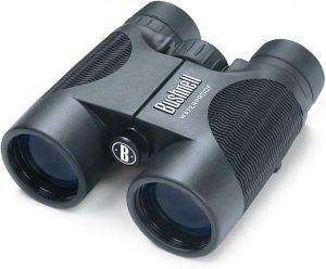 Bushnell H2O 10x42 Binoculars
