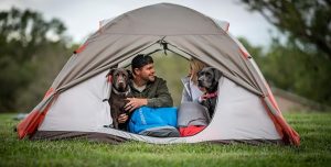 ALPS Mountaineering Lynx 2-Person Tent – Clay/Rust