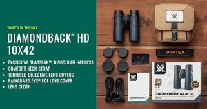 Vortex Diamondback HD 10x42 Binoculars