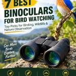 https://link.amazon/B03O2DP9K